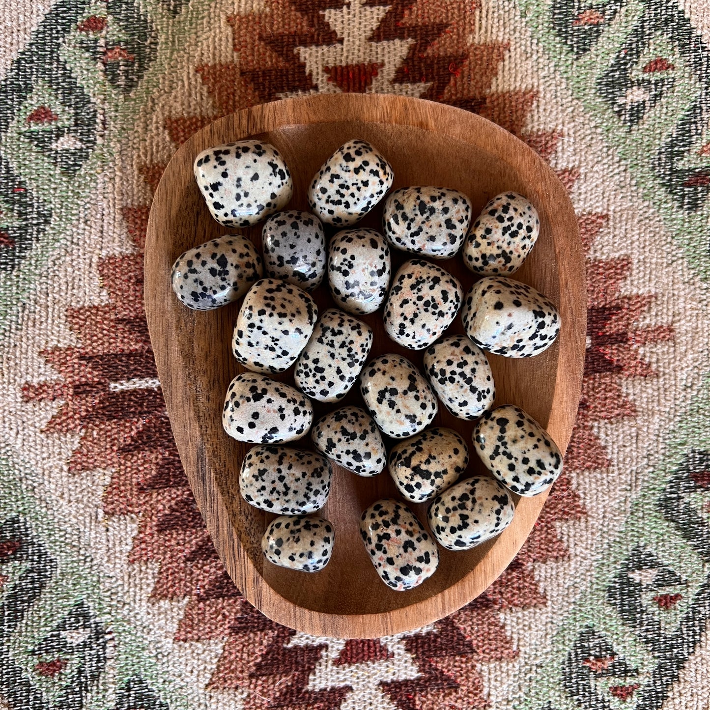 JASPE DALMATIEN